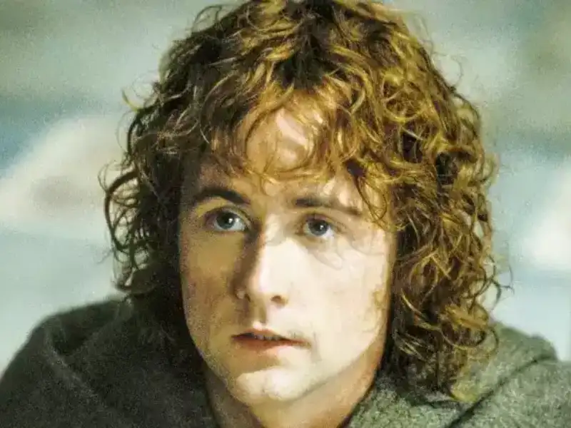 Pippin Took